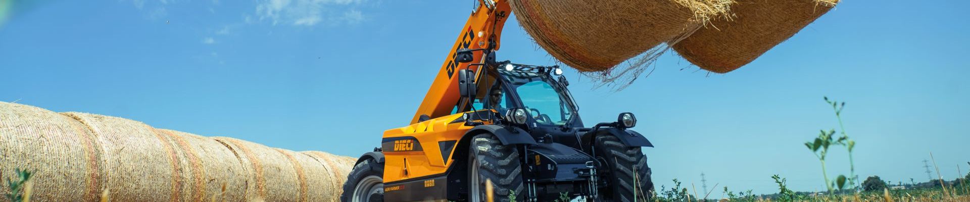 Dieci_Agri_Farmer_Teleskoplader_Landwirtschaft.jpg