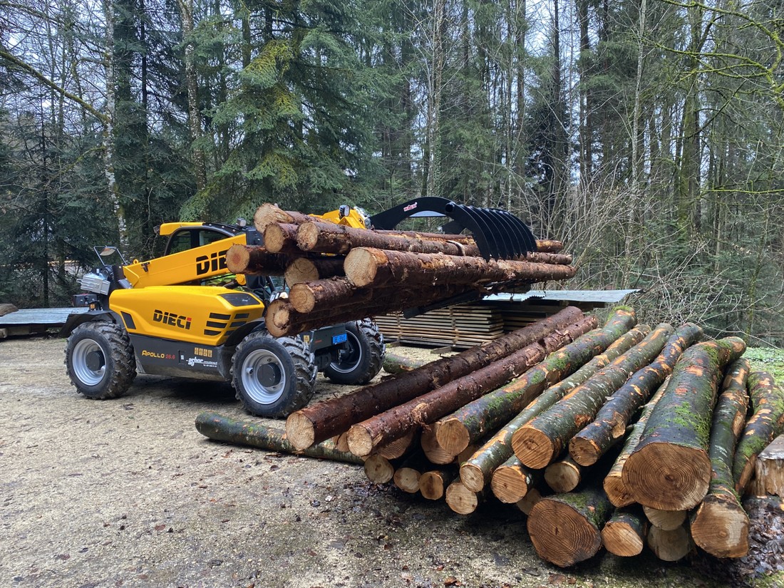 Teleskoplader-DIECI-mit-Greiferschaufel-Waldarbeit.JPG