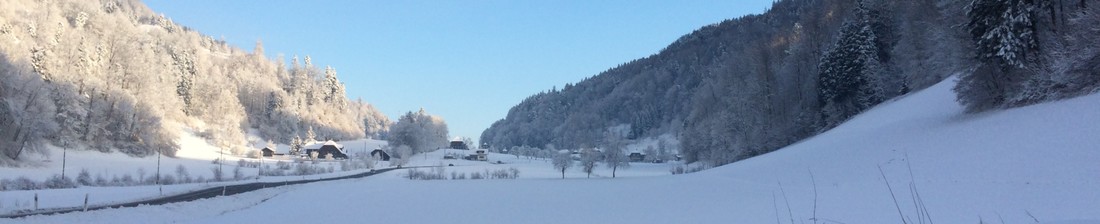 Arbor-AG-Lindental-Winter1.jpg