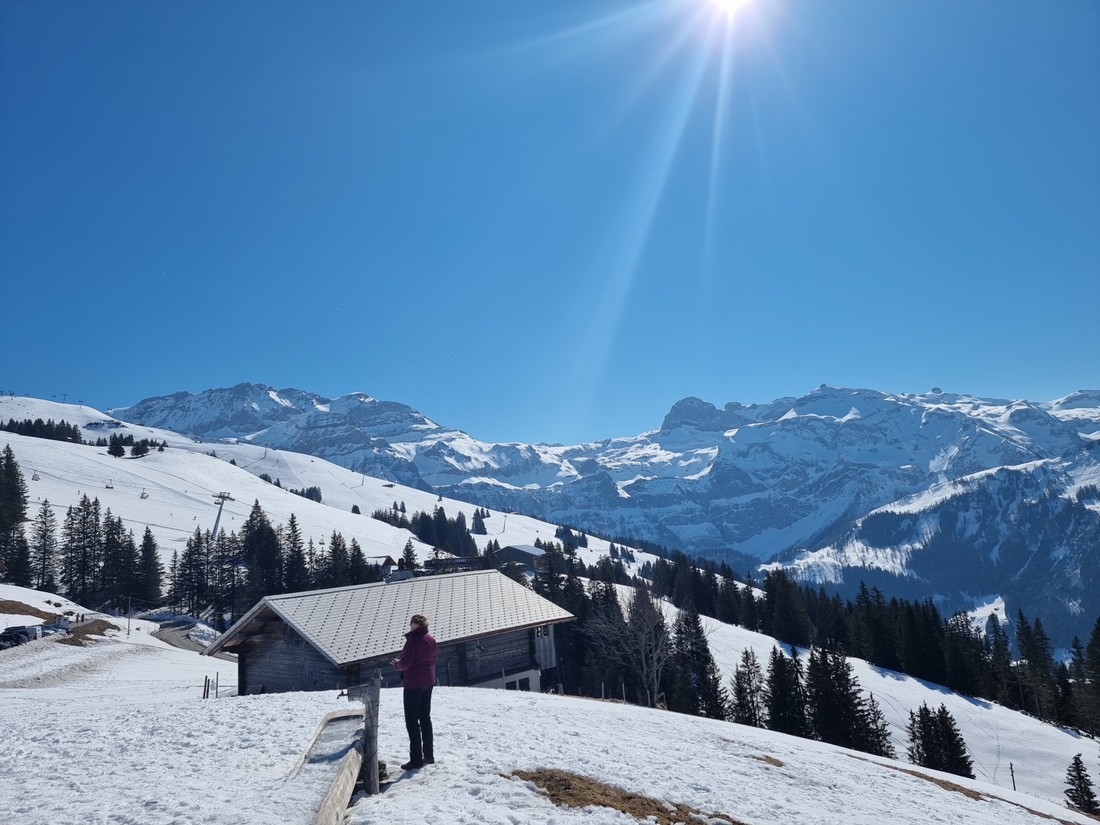 Bergpanorama in der Lenk im Simmental. Lenk-im-simmental-arbor-ag.jpg