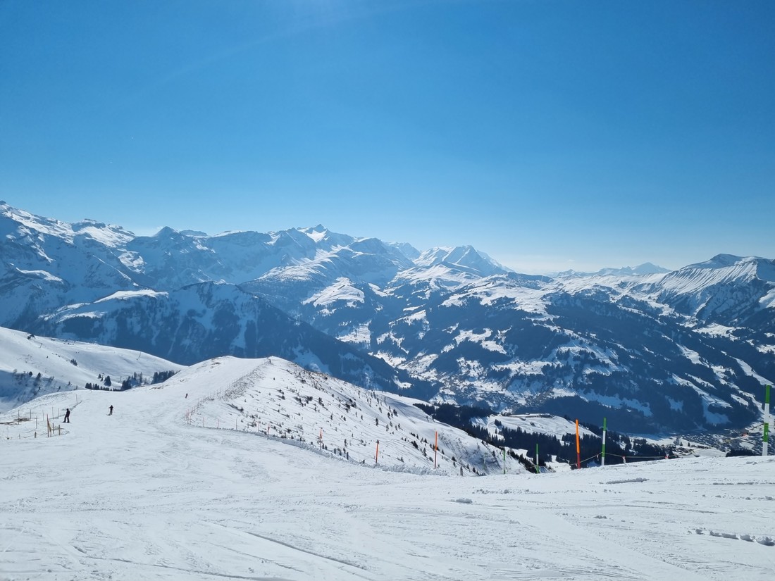 Herrliche Pisten in der Lenk im Simmental Skifahren-in-der-Lenk-Arbor-AG.jpg