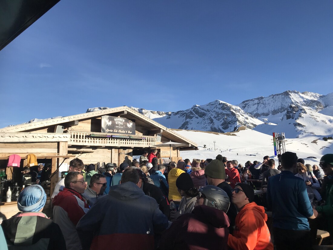 Das Arbor Team in Partystimmung im Après-Ski. Apres-Ski-Arbor-Skiweekend.jpeg