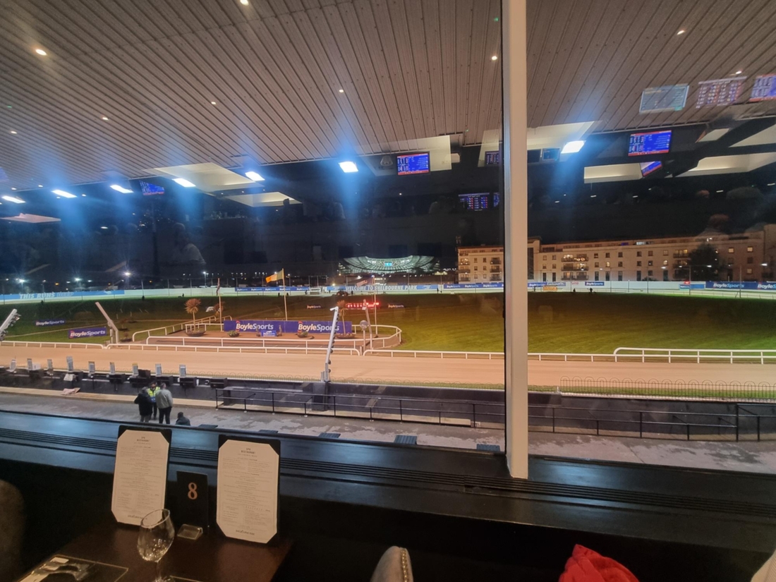 windhunderennen-shelbourne-park-dublin.jfif