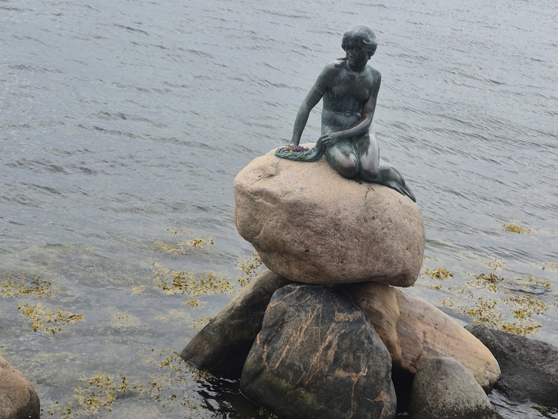 Die kleine Meerjungfrau | en lille Havfrue 20250628_100620.jpg
